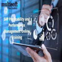 SAP Profitability and Performance Management Online Training