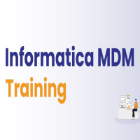 Informatica MDM Master Data Management Online Training In India